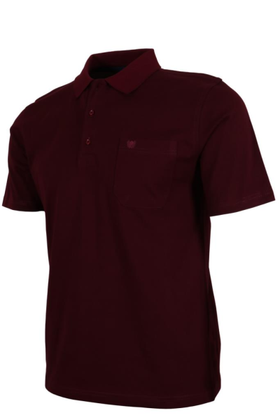 Erkek Bordo Renk Polo Yaka Tişört Pamuklu Normal Kesim RAR00865 Erkek Bordo Renk Polo Yaka Tişört Pamuklu Normal Kesim RAR00865