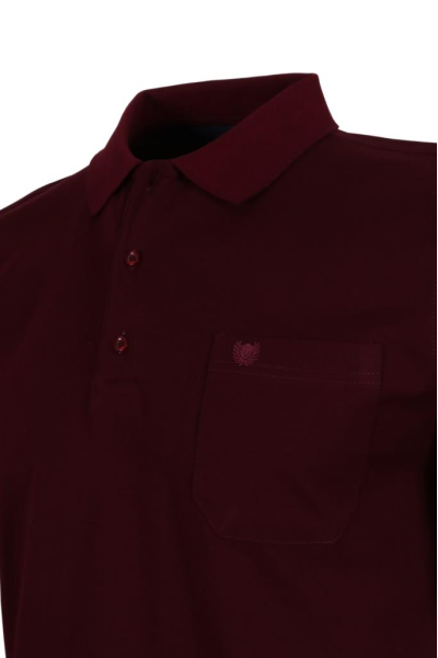 Erkek Bordo Renk Polo Yaka Tişört Pamuklu Normal Kesim RAR00865 Erkek Bordo Renk Polo Yaka Tişört Pamuklu Normal Kesim RAR00865