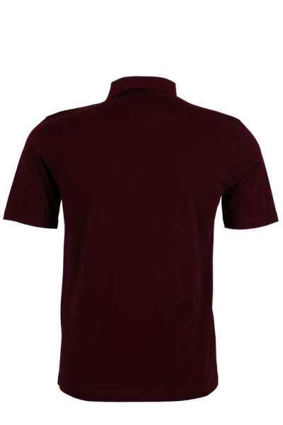 Erkek Bordo Renk Polo Yaka Tişört Pamuklu Normal Kesim RAR00865 Erkek Bordo Renk Polo Yaka Tişört Pamuklu Normal Kesim RAR00865