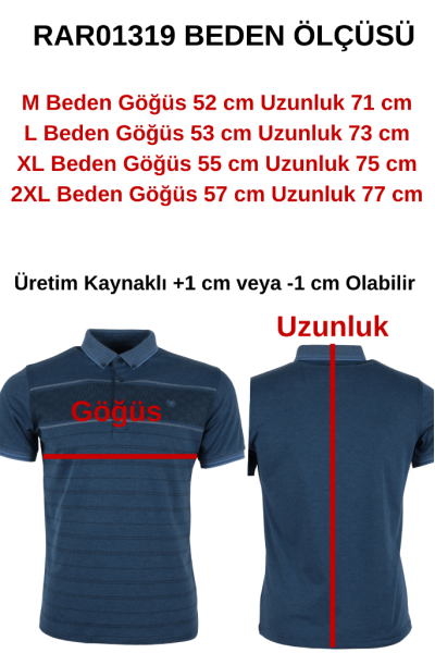 Erkek Tişört Polo Yaka Normal Kesim Desenli RAR01319 Erkek Tişört Polo Yaka Normal Kesim Desenli RAR01319