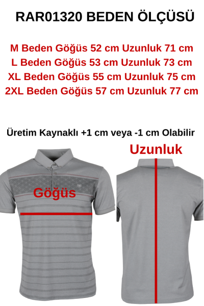 Erkek Tişört Polo Yaka Normal Kesim Desenli RAR01320 Erkek Tişört Polo Yaka Normal Kesim Desenli RAR01320