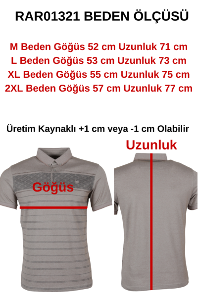 Erkek Tişört Polo Yaka Normal Kesim Desenli RAR01321 Erkek Tişört Polo Yaka Normal Kesim Desenli RAR01321